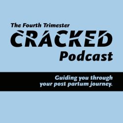 cover art for The Fourth Trimester Cracked