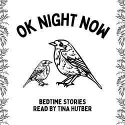 cover art for Ok Night Now