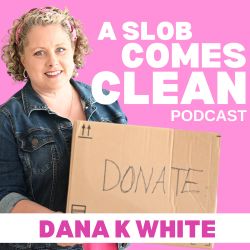 cover art for A Slob Comes Clean