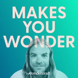 cover art for Makes You Wonder