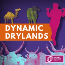 cover art for Dynamic Drylands