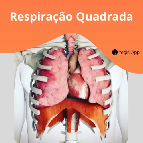 posts, legendas e frases de yoga, autocontrole, estabilidade, aprenda,  pratica, Fonte, Pessoas na natureza, Cartaz, People in nature, pranayama, chaturanga  pranayama, happy, acalmar a mente, exercicios de baixo impacto, Event, Capa  do