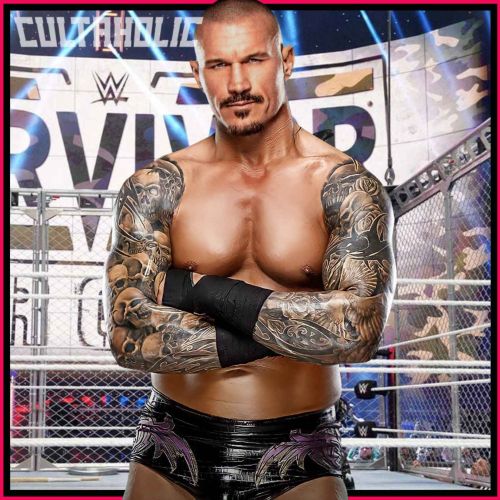 Randy Orton Hypes 12 Rounds 2 Reloaded On Outside the Ring, WWE Featured In  Hangover Part III - WWE Wrestling News World