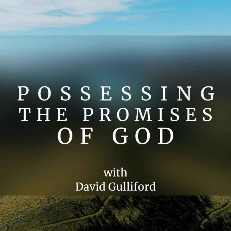 cover art for Possessing the Promises of God