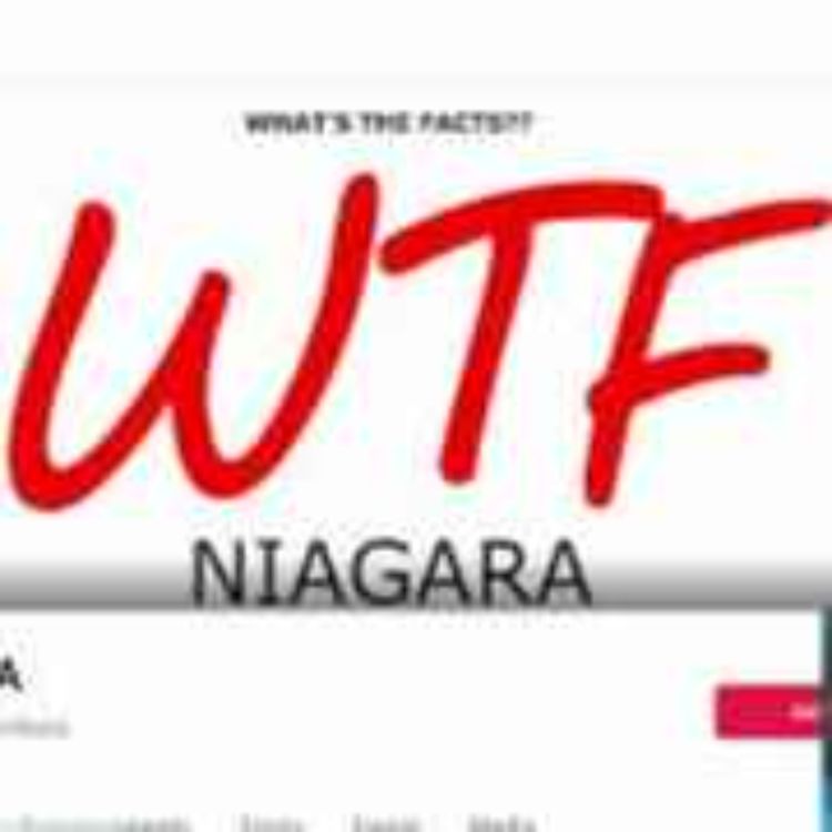 cover art for WTF Niagara Targeted By Media Elite