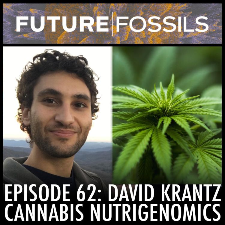 cover art for 62 - David Krantz (Cannabis Nutrigenomics)