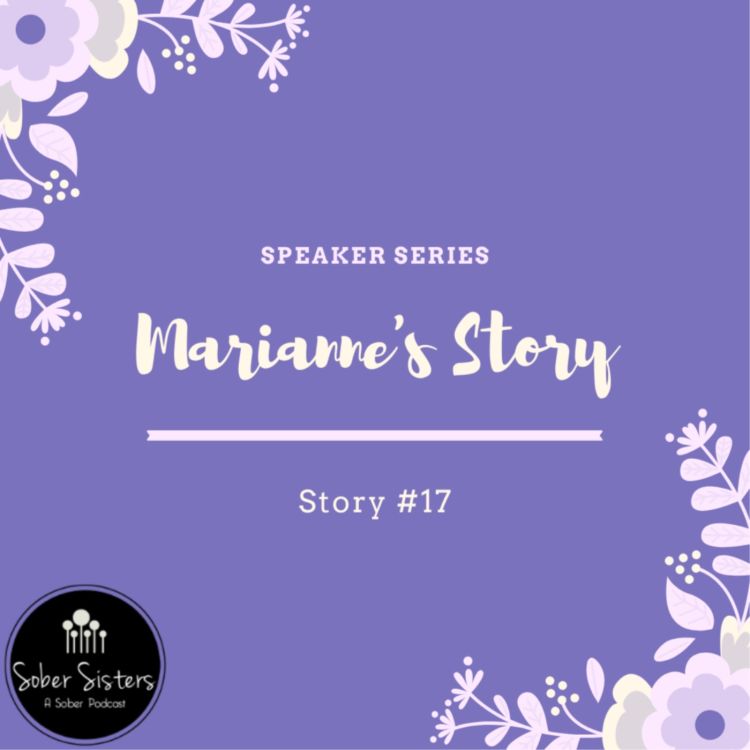 cover art for Speaker Series - Story #17