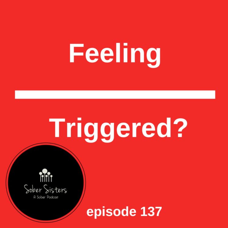 cover art for Feeling Triggered?