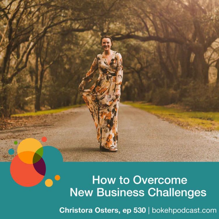 cover art for #530: How to Overcome New Business Challenges - Christora Osters
