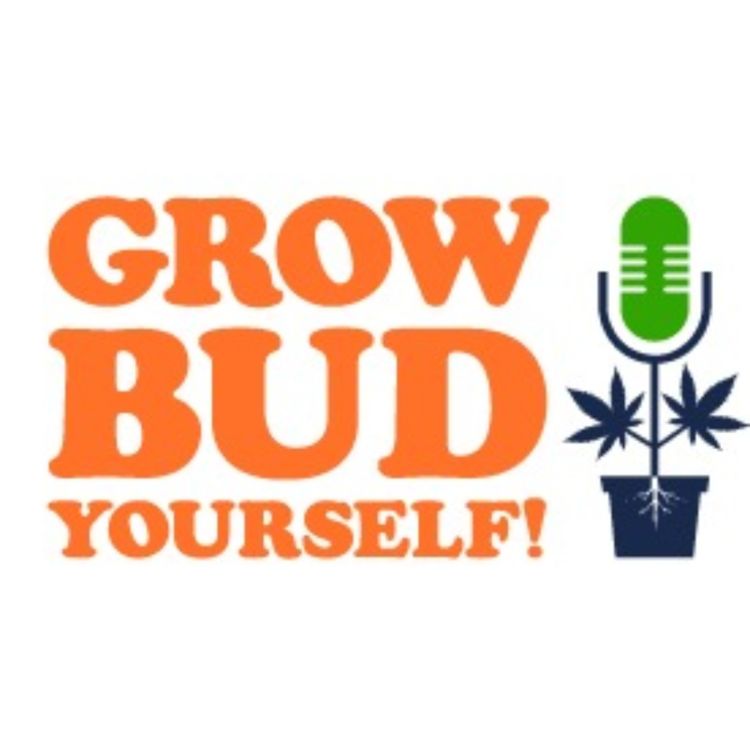 cover art for Grow Bud Yourself Episode 92