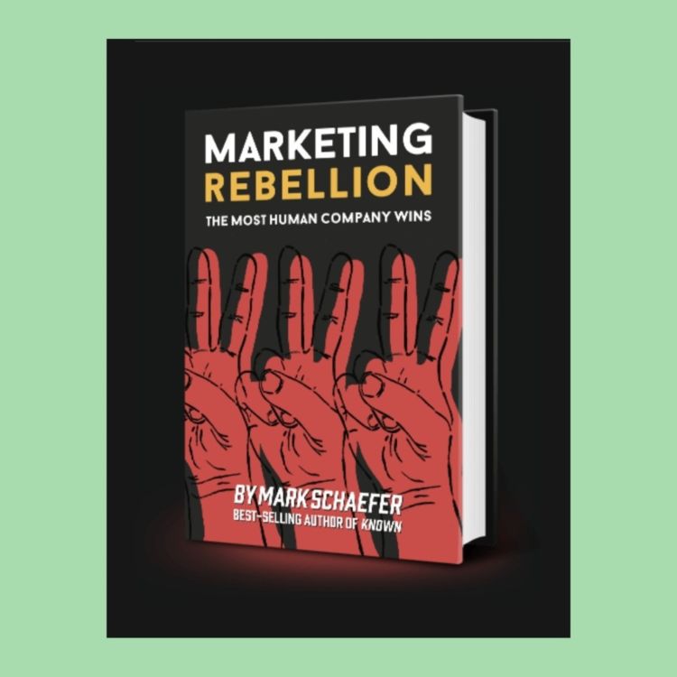 cover art for Mark Schaefer: Marketing Rebellion and Personal Branding