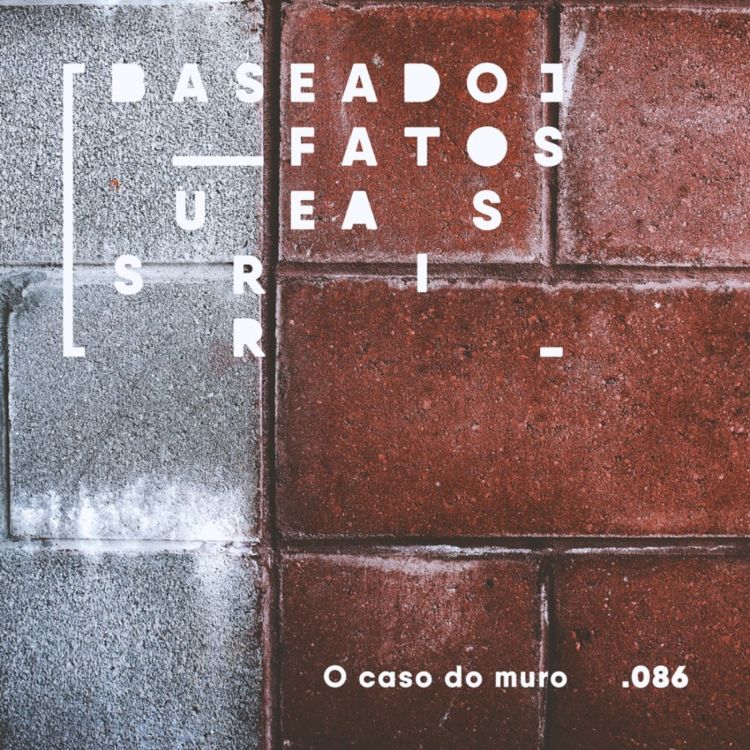 cover art for O caso do muro