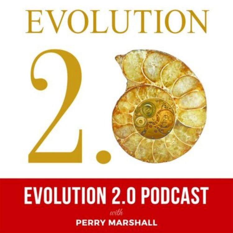 Elon Musk Joe Rogan The Mythical Ai Singularity Evolution 2 0 Acast