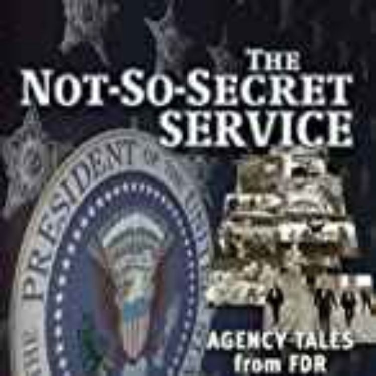 cover art for Vince Palamara - Not So Secret Service