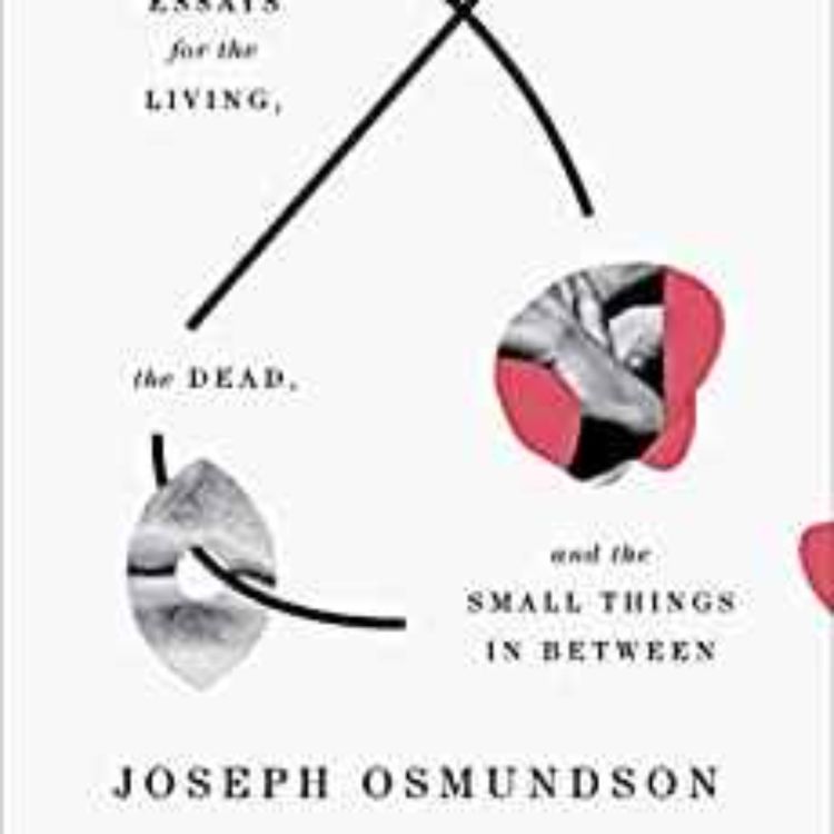 cover art for Joseph Osmundson - Virology: Essays for the Living, the Dead, and the Small Things in Between