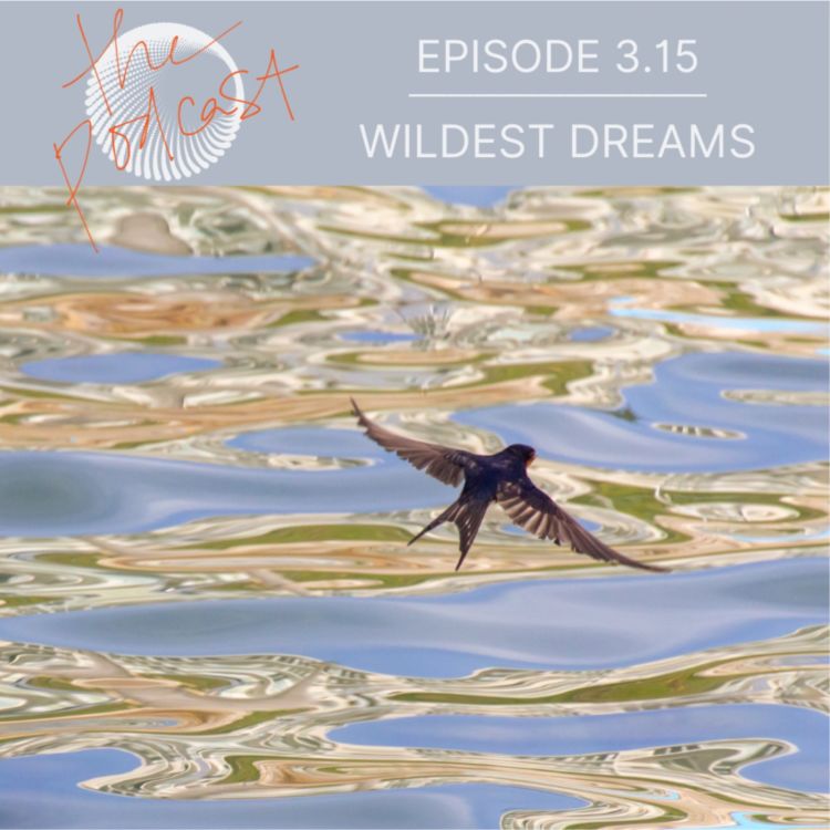 cover art for 3.15: Wildest Dreams: On Neutrality, Doing Things Differently & Rolling Stones 