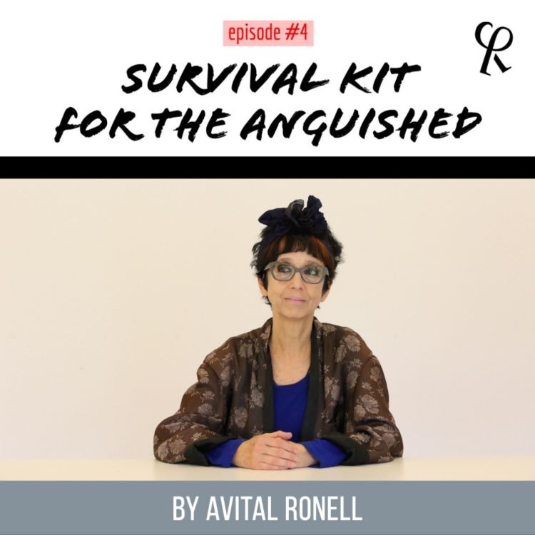 cover art for Survival Kit Episode #4