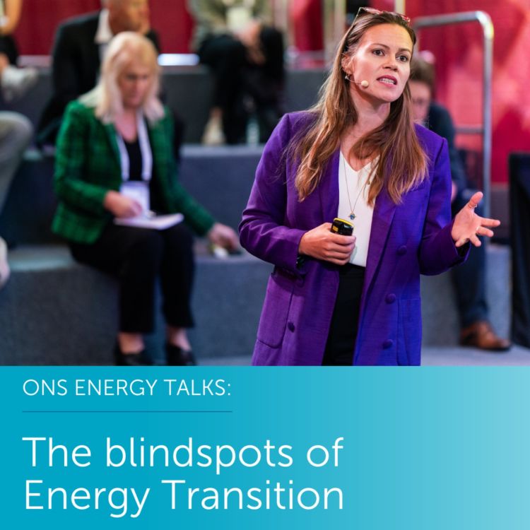 cover art for The blindspots of energy transition