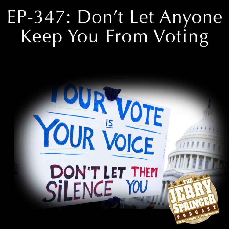 cover art for Don't Let Anyone Stop You From Voting: EP - 347