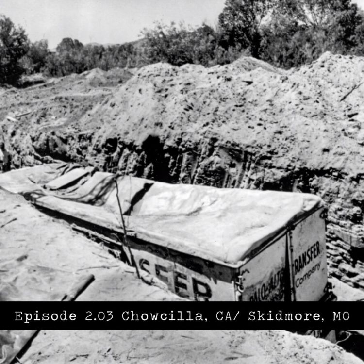 cover art for Chowchilla, CA/ Skidmore, MO