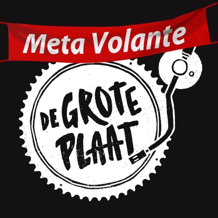 cover art for Meta Volante 