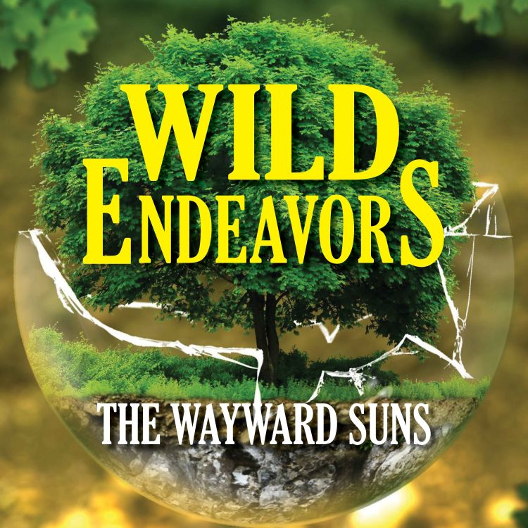 cover art for Wayward Suns - Season 1 Recap