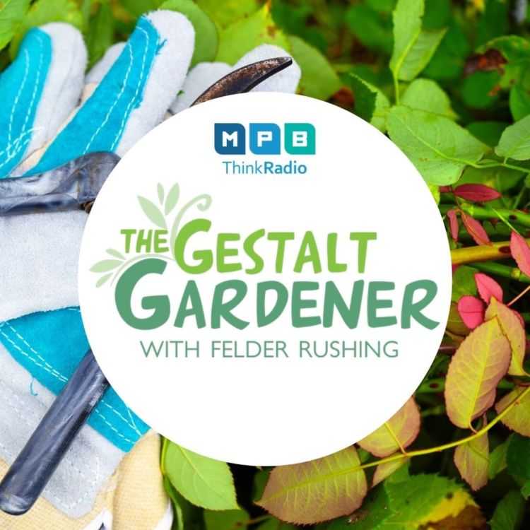 cover art for The Gestalt Gardener | Pat Stone and More