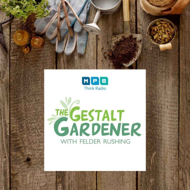 cover art for The Gestalt Gardener | Drive Time Pt.1 & 2