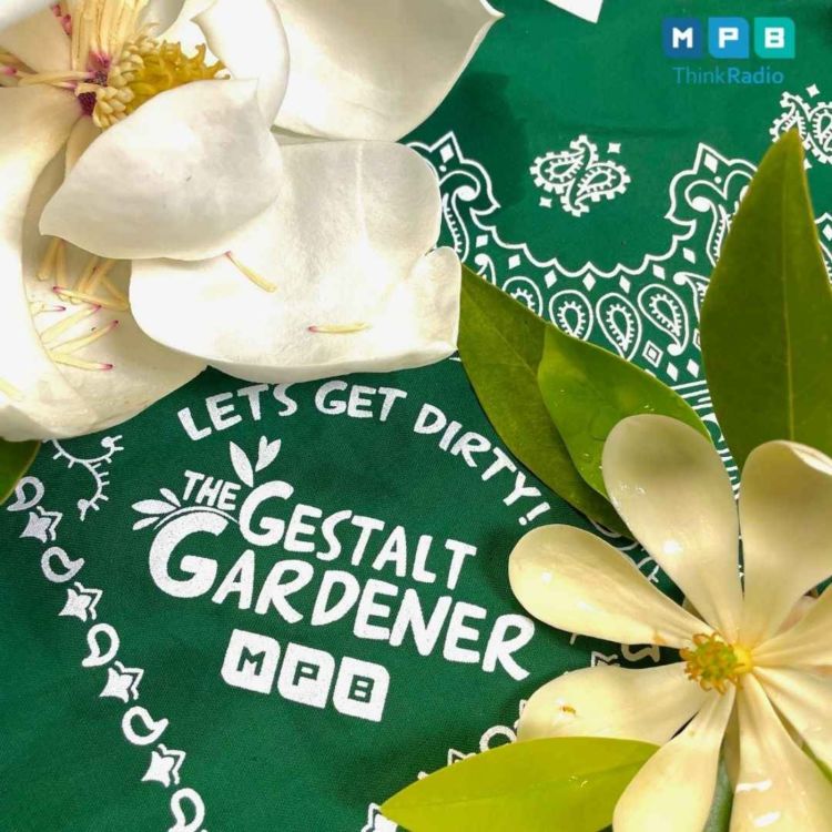 cover art for The Gestalt Gardener | Full Bloom