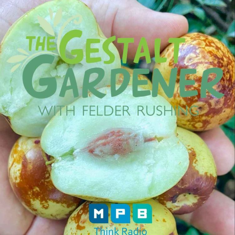 cover art for The Gestalt Gardener | Fall Planning