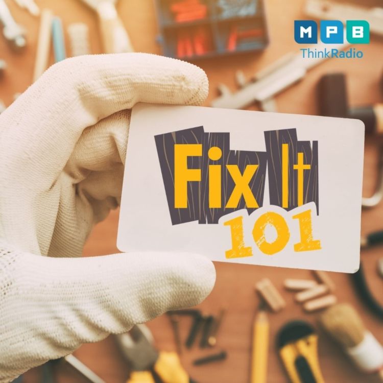 cover art for Fix It 101: Back for 2020