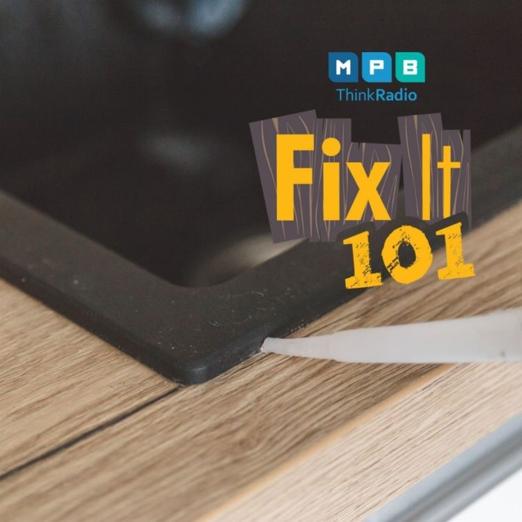 cover art for Fix It 101: Granite vs. Vinegar