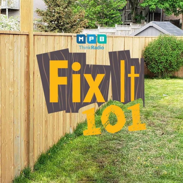 cover art for Fix It 101 | Fenced In