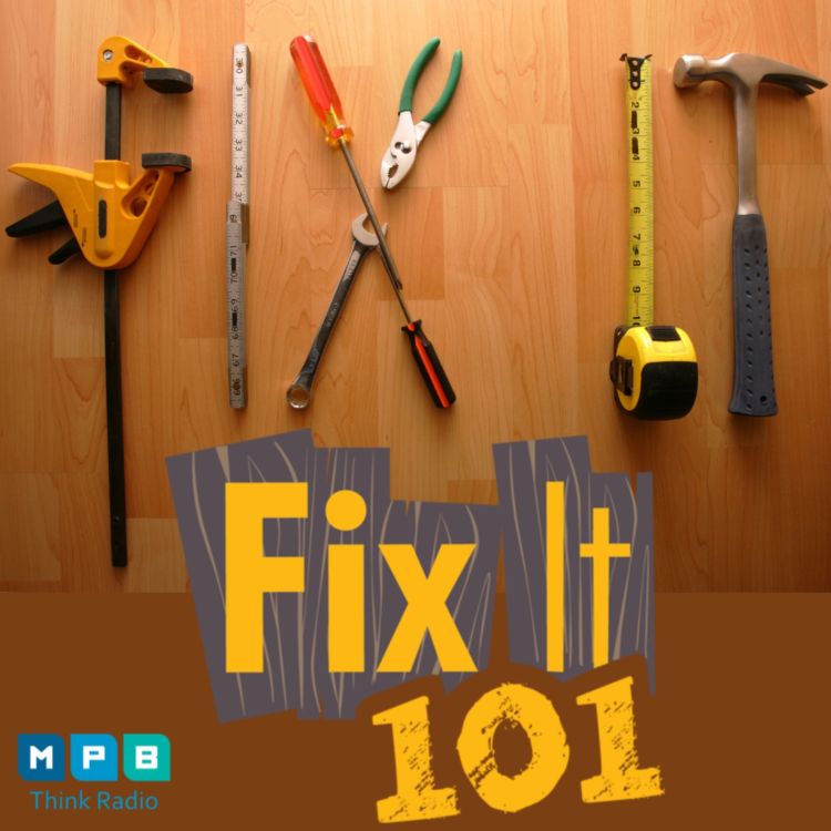 cover art for Fix It 101 | All Call