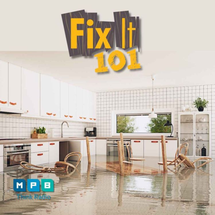 cover art for Fix It 101 | House Flooding