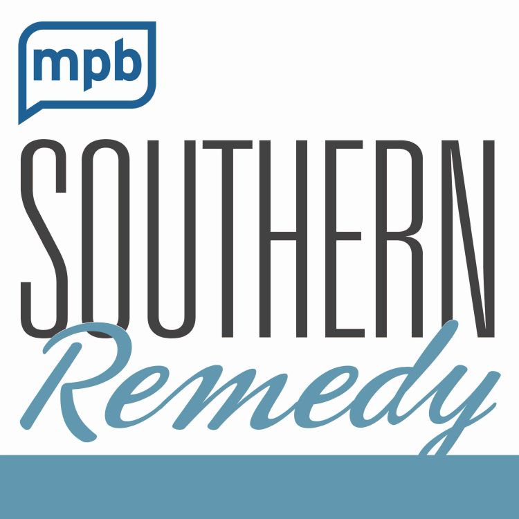 cover art for The Original Southern Remedy 