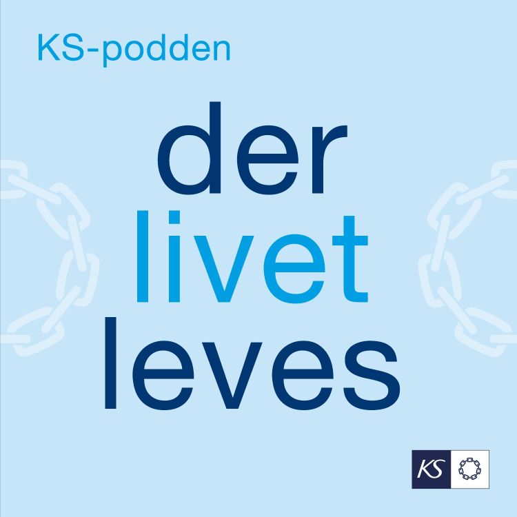 cover art for Lokaldemokratiets høytidsdag