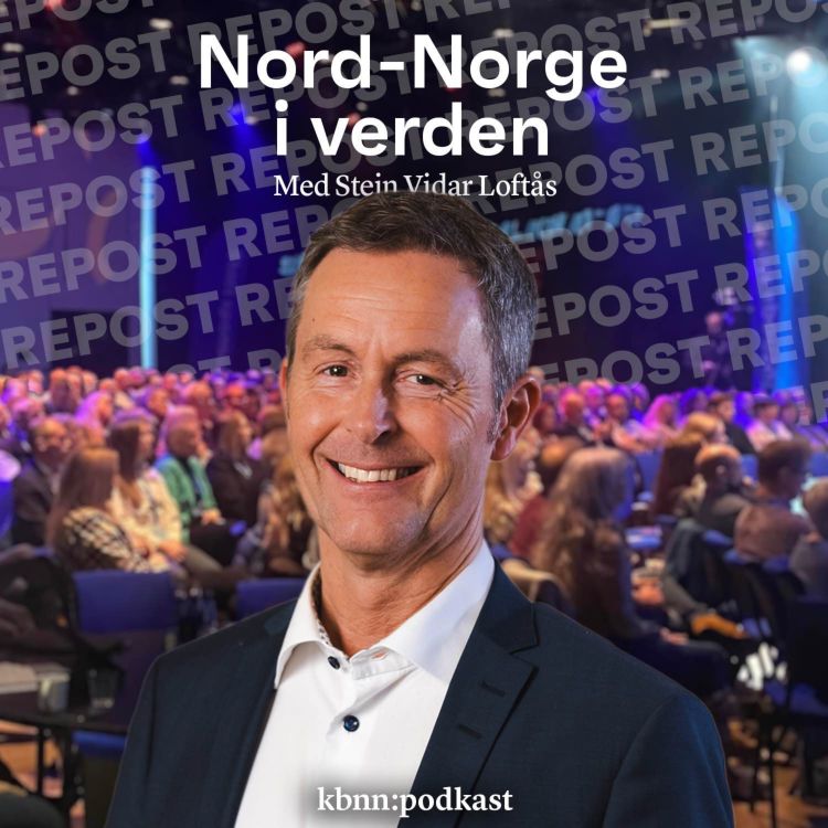 cover art for Det nordnorske dilemma