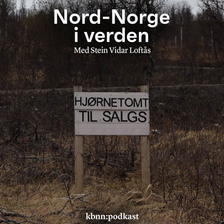 cover art for Hva kan gjøres med boligmangelen i distriktene?