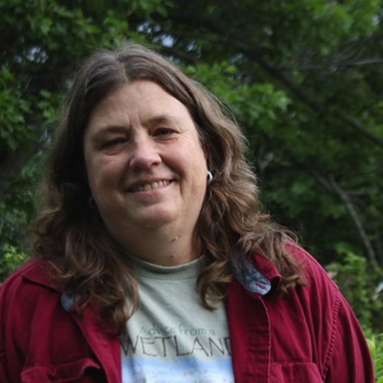 cover art for Grace Nichols — recording bats in the pine bush