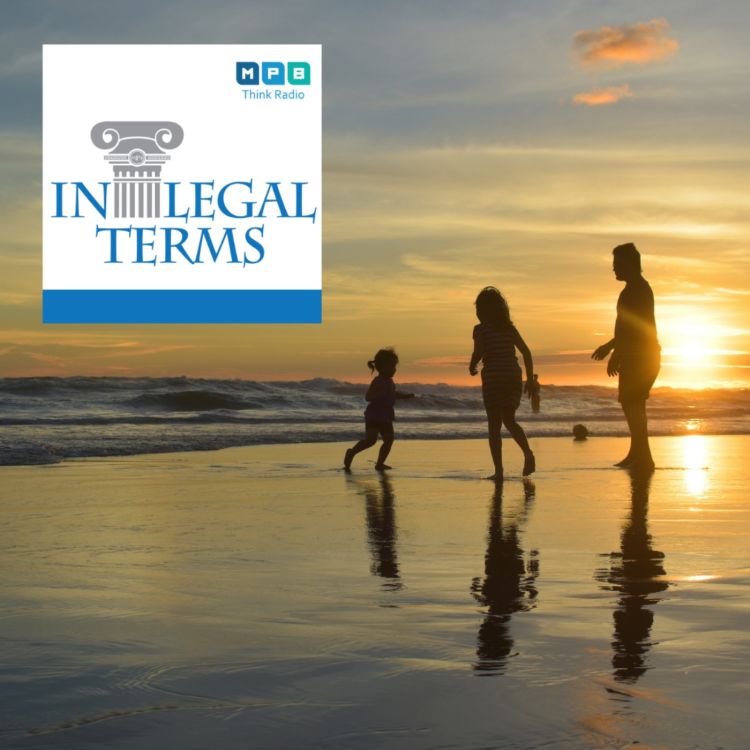 cover art for In Legal Terms: Child Custody