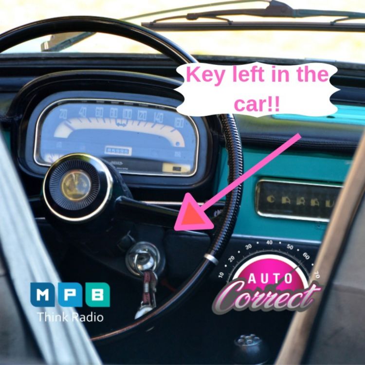 Auto Theft Prevention >> Auto Correct Prevention Of Car Theft Auto Correct Pippa Auto Theft Prevention >> Auto Correct Prevention Of Car Theft Auto Correct Pippa