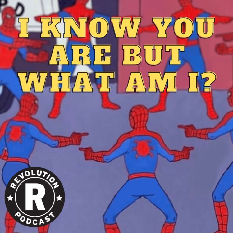 cover art for I Know You Are But What Am I?