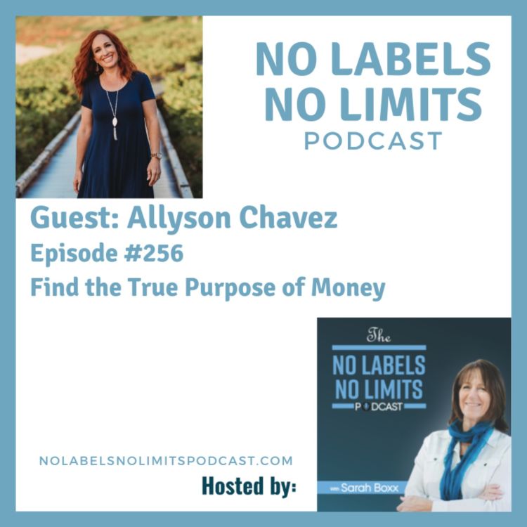 cover art for 256 - Find the True Purpose of Money with Allyson Chavez