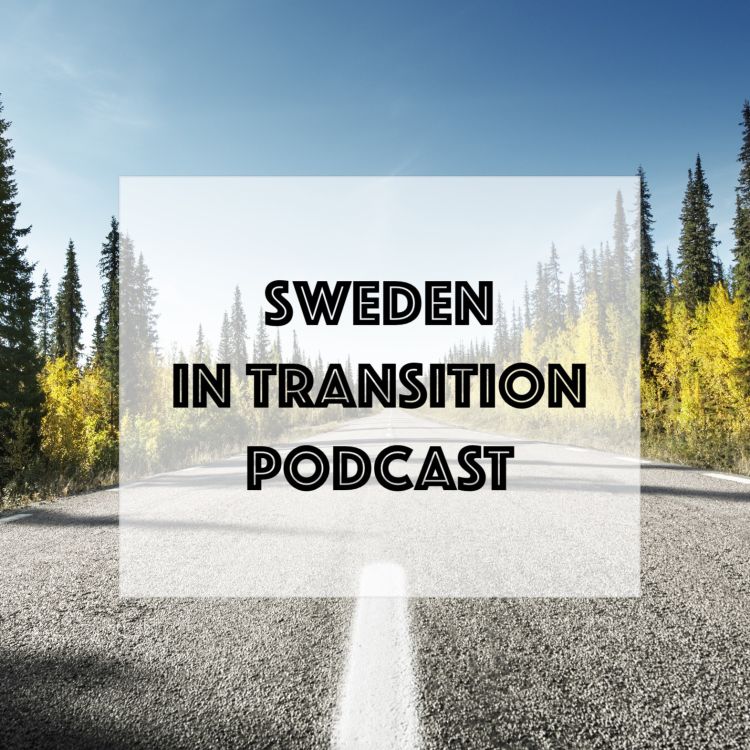 cover art for Sweden in Transition #28 - Henrik Blind