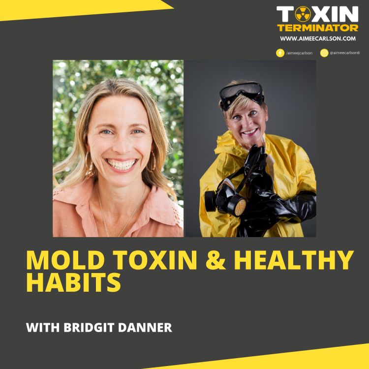 cover art for Mold Toxin & Healthy Habits with Bridgit Danner