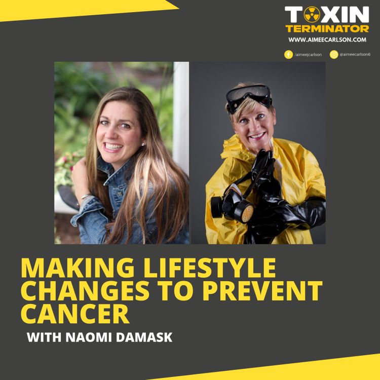 cover art for Making Lifestyle Changes to Prevent Cancer with Naomi Damask