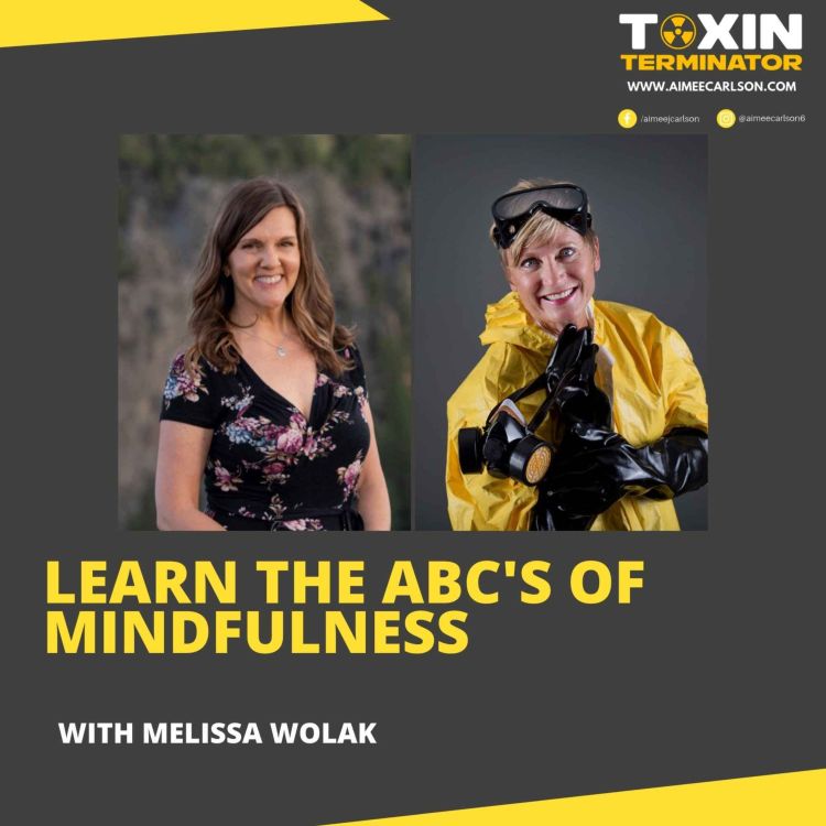 cover art for Learn The ABC’s of Mindfulness with Melissa Wolak