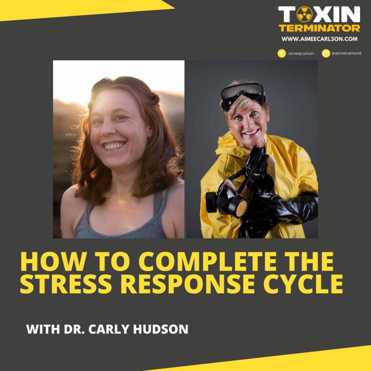 How To Complete The Stress Response Cycle with Dr. Carly Hudson - The ...