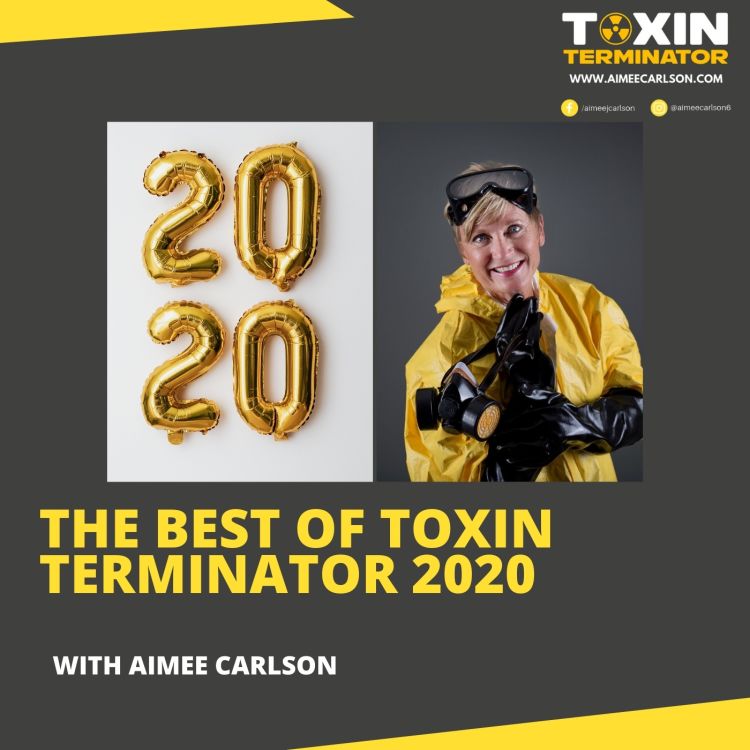 cover art for The Best of Toxin Terminator 2020